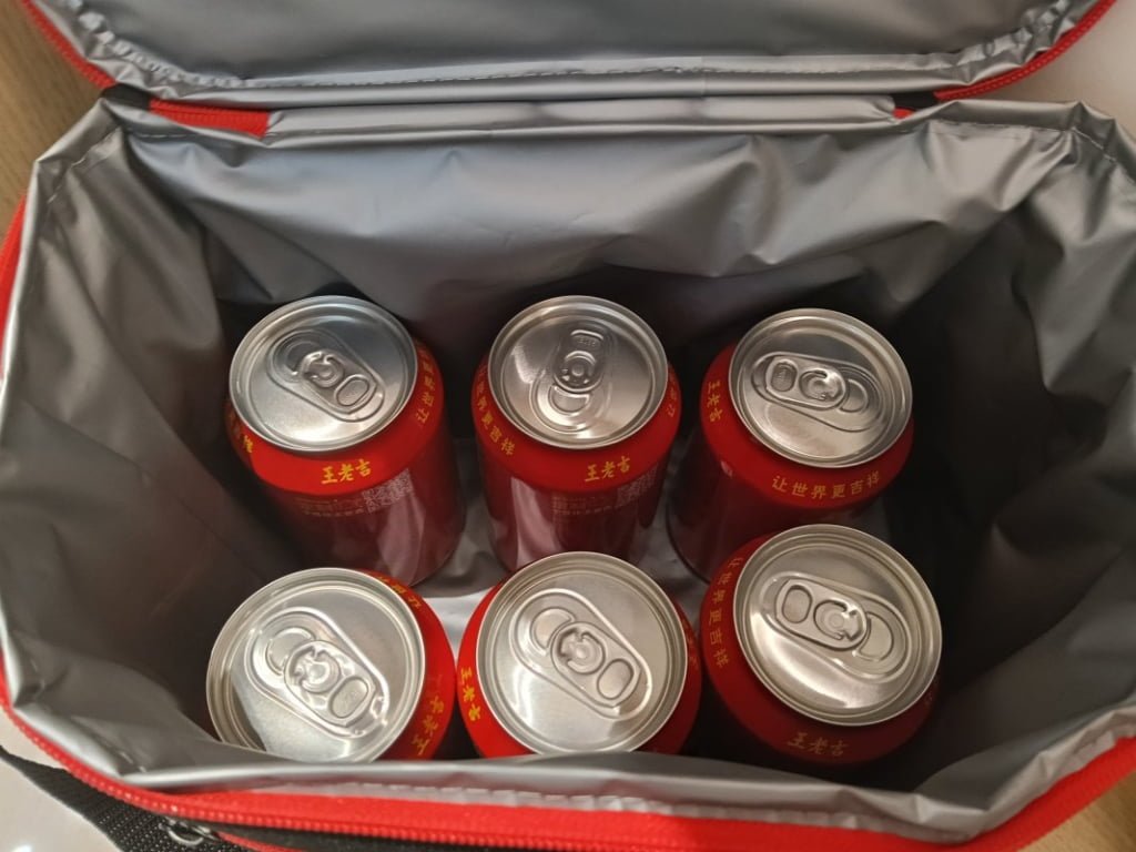 Cooler Bag inside