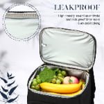 cooler bag lunch for backpack​