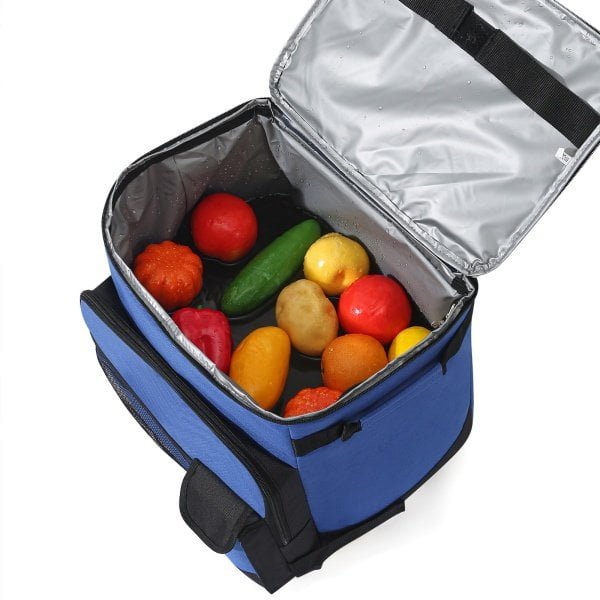 rolling cart cooler