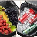 insulated adult lunch box
