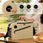 insulated cooler bags with temperature